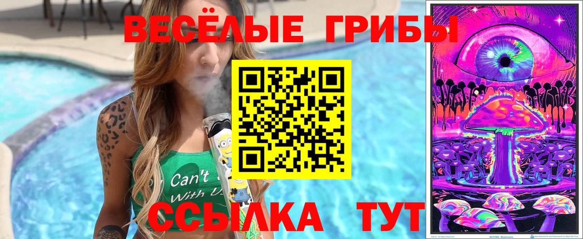 Псилоцибиновые грибы Psilocybine cubensis  цена   Волжский  Вход с VPN  Псилоцибиновые грибы Psilocybe 