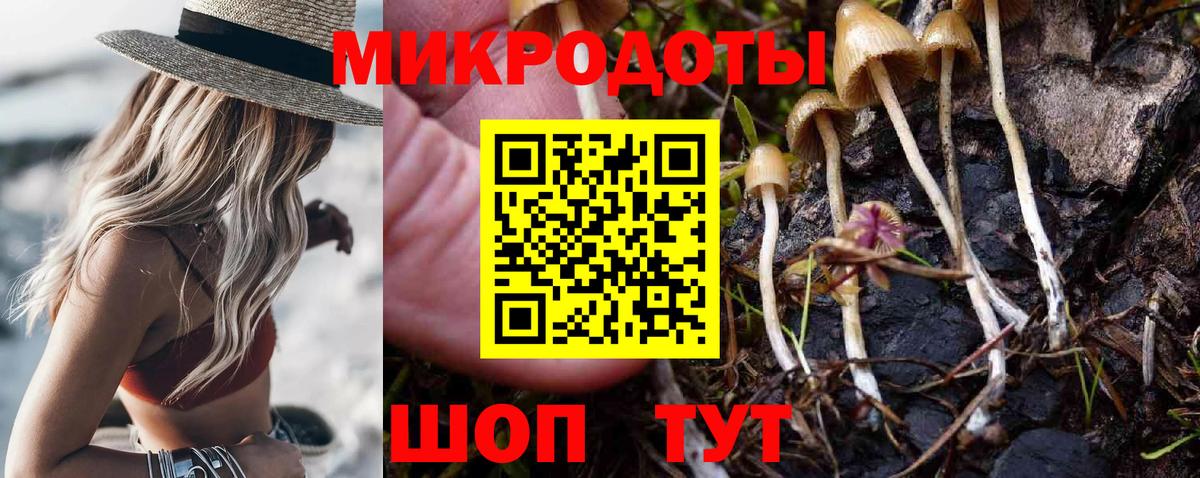 Галлюциногенные грибы Psilocybine cubensis Волжский